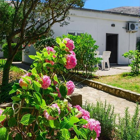 Apartmant Prosika Pag Town Exterior foto